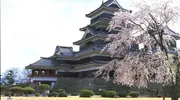 El castillo de Matsumoto rodeado de cerezos en flor en primavera