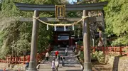 El torii del Futarasan jinja.