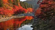 La impresionante vista del puente Taigetsukyo y los arces de  Korankei.