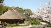 Musée ferme japonaise ryokuchi koen