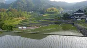 Ini Tanada, las siembras de arroz en terrazas de Akiota.