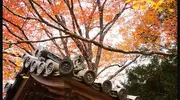 Le temple Jingo-ji à Takao