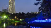 Tanabata en el jardín Shukkei-en de Hiroshima.