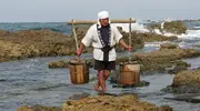 Un saunier en plein travail