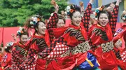 Le festival Yosakoi de Sapporo