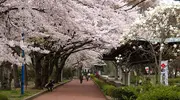 Tsutsujigaoka Park