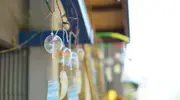 Summer in Japan: Furin