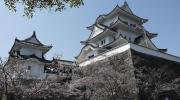 Le château d'Iga_Ueno