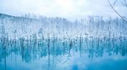 L'étang bleu de Biei