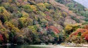 Japan Visitor - arashiyama-sagano-1.jpg