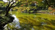Japan Visitor - hibiyapark2018.jpg