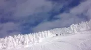 Japan Visitor - japanski20195.jpg