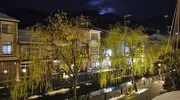 Japan Visitor - kinosakionsen20193.jpg