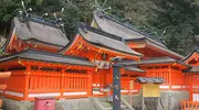 Japan Visitor - nachi-taisha-2017-1.jpg