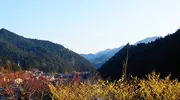 Japan Visitor - naguri-valley-1.jpg