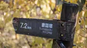 Japan Visitor - nakasendo-2017-5.jpg