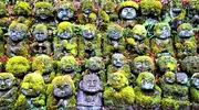 Japan Visitor - otagi-nembutsuji-4.jpg