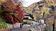 Japan Visitor - sakuraihouse2.jpg