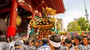 Japan Visitor - sanja_matsuri_2019-9.jpg