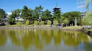 Japan Visitor - sarusawa-ike-1.jpg