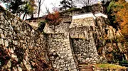 Japan Visitor - takahashi-2020-1.jpg