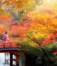 Autumn in Japan