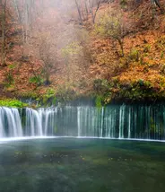 Shiraito Falls in Autumn, Karuizawa, Nagano