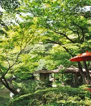 Le jardin Happô-en, dans l'arrondissement de Minato à Tokyo, offre un cadre à la fois bucolique et romantique pour les flâneries amoureuses