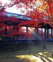 How to go from Kyoto to Nara ?