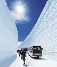Japan Visitor - snow-corridor.jpg