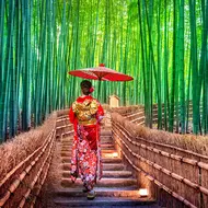 Bambushain in Arashiyama: berühmte touristische Stätte in Kyoto