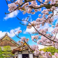Das luxuriös Schloss Nijo ist während Ihres freien Tags in Kyoto einen Besuch wert