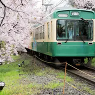  ... oder viele andere Züge und Busse in ganz Japan!