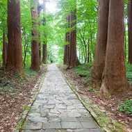 Puente de la ruta de peregrinación de la montaña Haguro, Dewa Sanzan, Tohoku, Japón