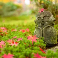 Hoja de arce rojo en la cabeza del pequeño monje budista japonés doll rock en el jardín japonés