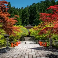 La nature est omniprésente sur la montagne sacrée de Koyasan au Japon
