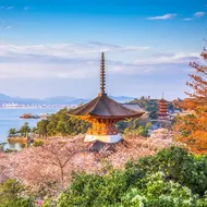 The sacred island of Miyajima and its famous torii with feet in water, worth a visit off Hiroshima in Japan