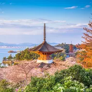 Miyajima Insel und ihre berühmten Torii mit Füßen im Wasser sind einen Besuch vor Hiroshima in Japan wert