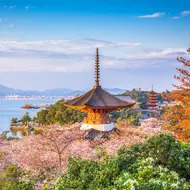 L'isola di Miyajima e il suo torii con i piedi nell'acqua, merita una visita al largo di Hiroshima