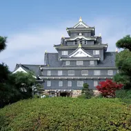 Okayama castle, the Black "castle", close to Korakuen garden