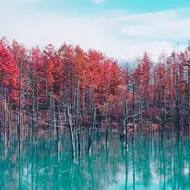 Etang au bleu éclatant, Hokkaido