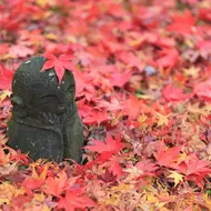 Jizo statue in Enko-ji temple in autumn, Kyoto