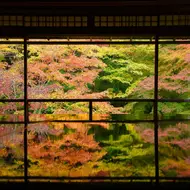 Templo de Ruriko-in en Kioto: un lugar para visitar para experimentar los magníficos colores del otoño