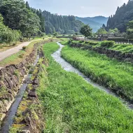 Discover the ruins of Ichijodani Castle, former home of the Asakura clan