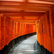 Fushimi Inari Fushimi Inari