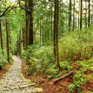The Kumano Kodo, Kii Peninsula