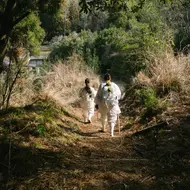 Pèlerins marchant sur le Kumano Kodo
