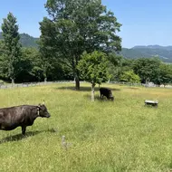 Tajima Farm Park, Département de Hyogo