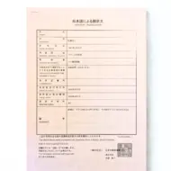 driving licence translation receipt driving licence translation receipt