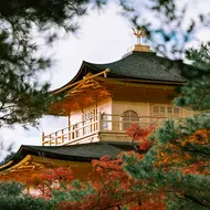金閣寺, Kinkakuji Golden Pavilion, Kyoto